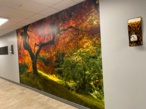 Common Area 13